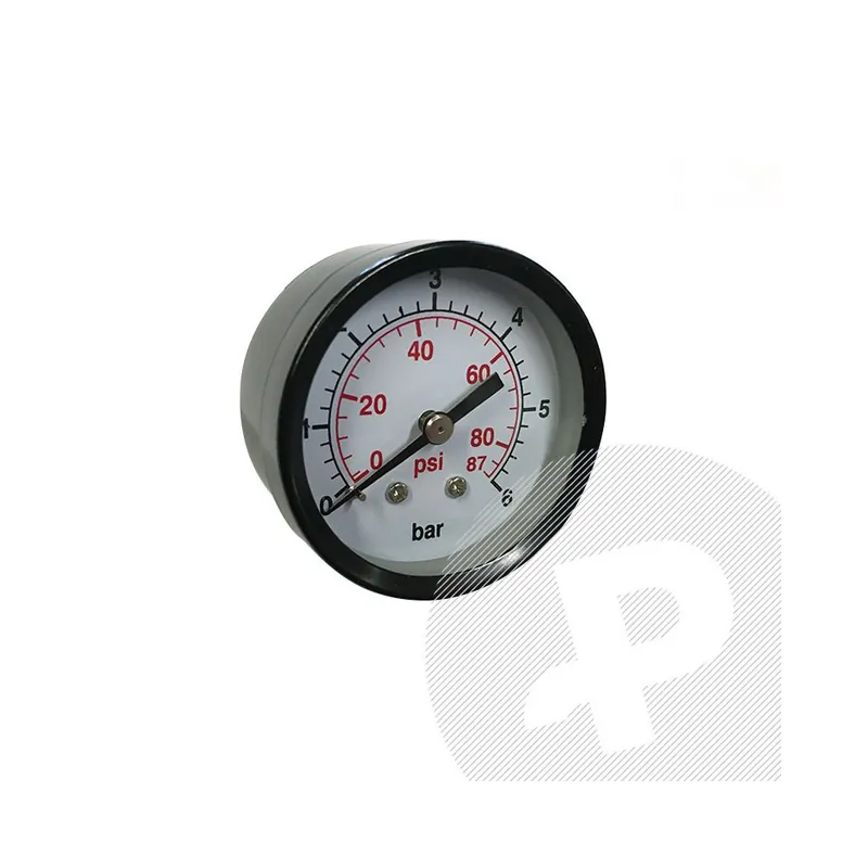 Manometr G 1/4" (zadní závit) 6 barů Ihned K Objednání