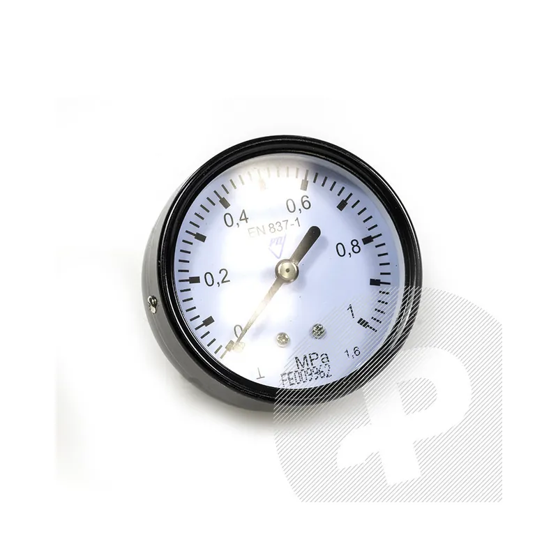 Ověřený Manometr 60 - 1 MPa (zadní závit) M 12x1,5