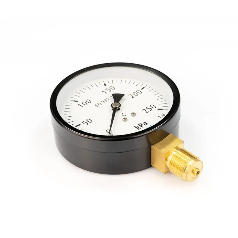 Vrácení Zdarma Manometr 100-250 KPa (spodní závit) M20
