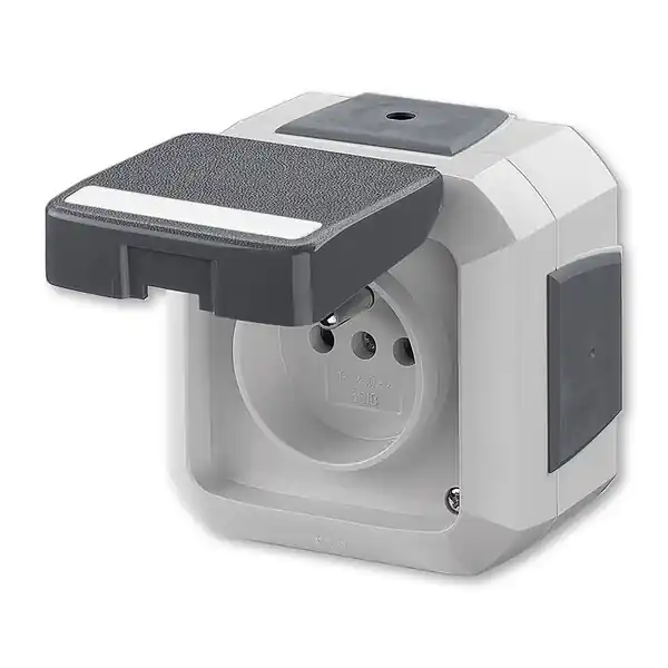 ABB 5519N-C02542 S Zásuvka s ochr. kolíkem, s víčkem, s pop. polem, pro průb.montáž, IP54; Časově Omezené