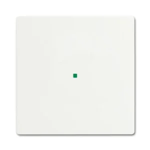 ABB 2CKA006220A0601 Kryt 1násobný, bez potisku ( 6220-0-0601 ) Ověřený