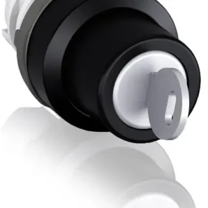 Ověřený ABB ELSYNN M2SSK1-101 Přepínač s klíčem *1SFA611280R1001