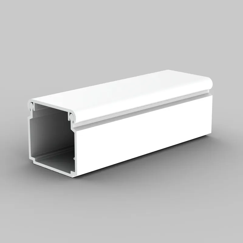 LV 24X22_HD LIŠTA VKLÁDACÍ SUPERBÍLÁ/RAL 9003/KARTON Exkluzivní